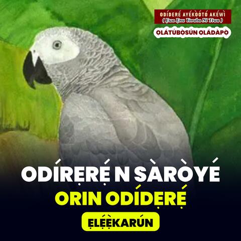 Odidere n Saroye Episode 5