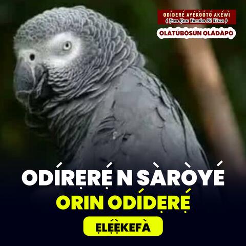 Odidere n Saroye Episode 6