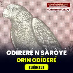 Odidere n Saroye Episode 7