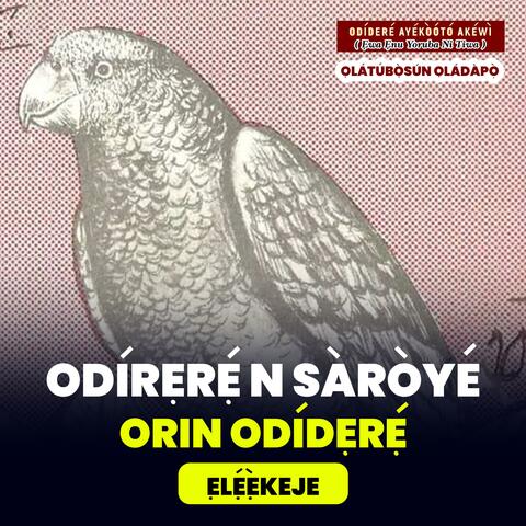 Odidere n Saroye Episode 7