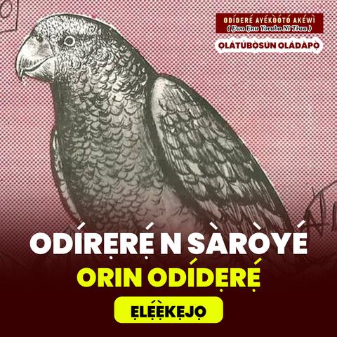 Odidere n Saroye Episode 8