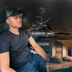 Izinsimbi part two