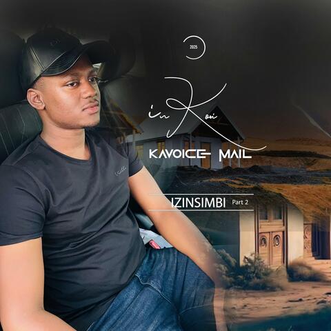 Izinsimbi part two