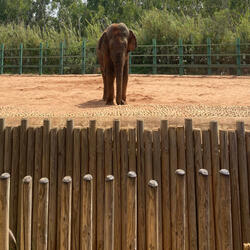 ♣️Hadi l’leila♣️