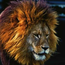 Over flow time part 2