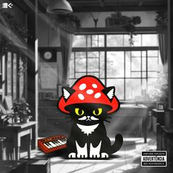 um gato indoor