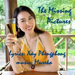 The Missing Pictures