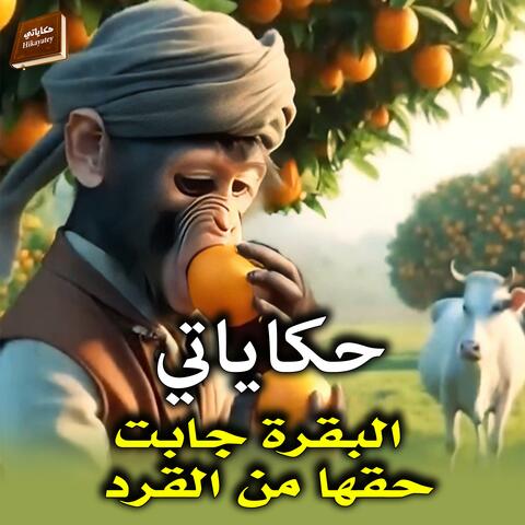 البقرة جابت حقها من القرد