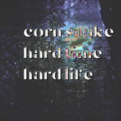 Hard Time, Hard Life