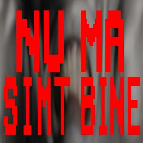 NU MA SIMT BINE (feat. raress)