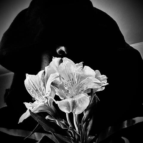 The Melodramatic Happy Song