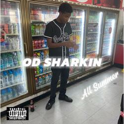 OD Sharkin (All Summer)