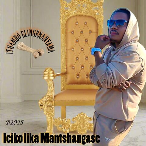 Ithambo elingenanyama