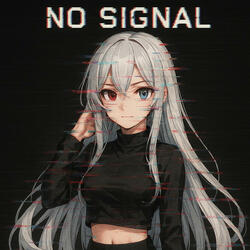 NO SIGNAL