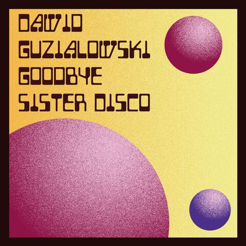 Goodbye Sister Disco