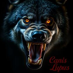 Canis Lupis