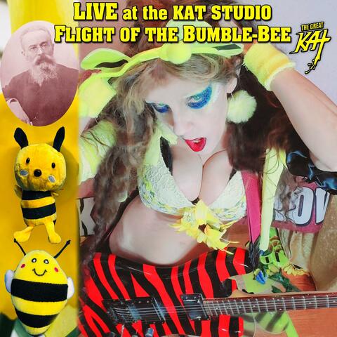 LIVE At The Kat Studio Flight Of The Bumble-Bee (Live)