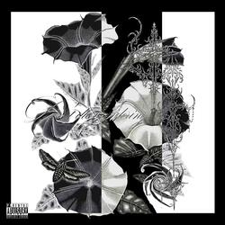 DATURA