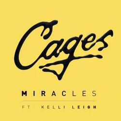 Miracles (feat. Kelli-Leigh)