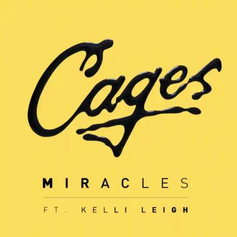 Miracles (feat. Kelli-Leigh)