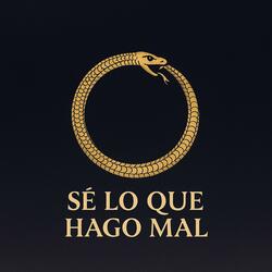Sé Lo Que Hago Mal