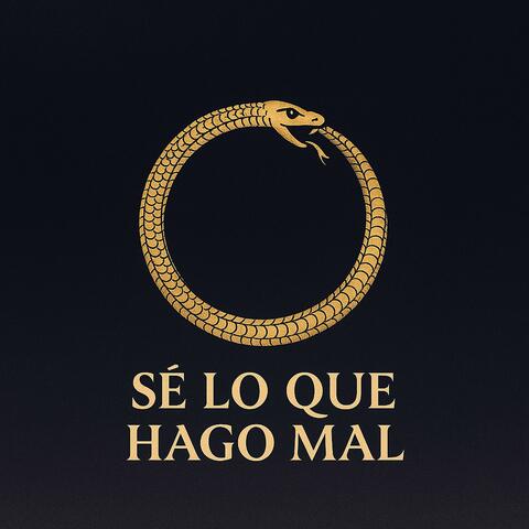 Sé Lo Que Hago Mal