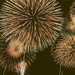 Firework