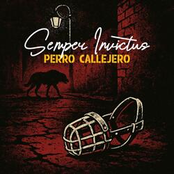 Perro Callejero