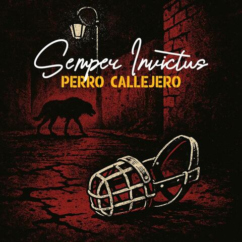 Perro Callejero