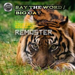 SAY THE WORD (FE001Ra) (2001 / 2025 REMASTER)