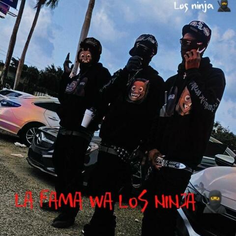 LOS NINJA
