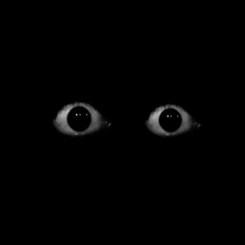 DRUGRAPE (feat. Millijon & Lego-Bauhaus)