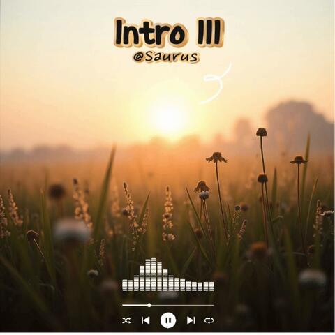Intro III