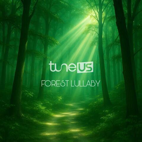 Forest Lullaby