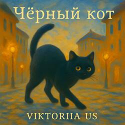 Чёрный кот