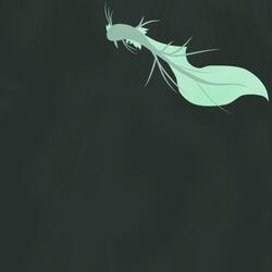 Cradle Of Descent