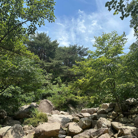 숨 만트라 So hum mantra