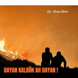 DAYAN KALBİM AH DAYAN!
