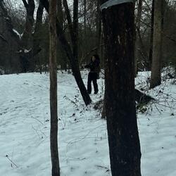 human nature interlude