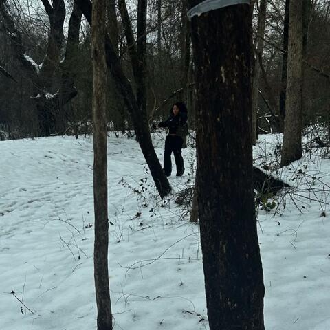 human nature interlude