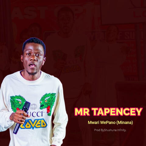 Mwari WePano (Minana) (feat. Mr. Tapencey)