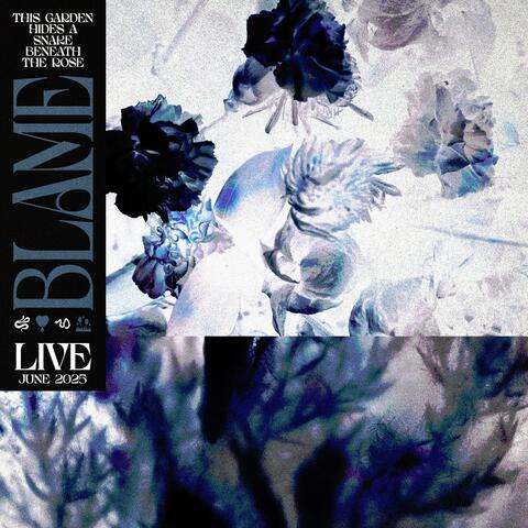 This Garden Hides A Snake Beneath The Rose (Live)