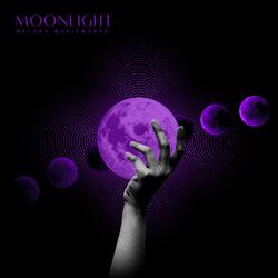 달빛이 익어가는 밤에