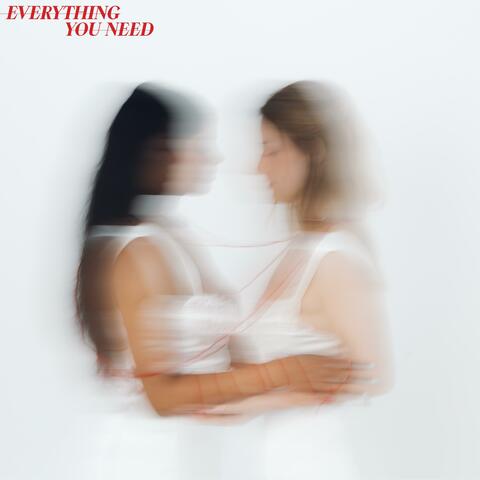 Everything You Need (PLEEZR Remix)
