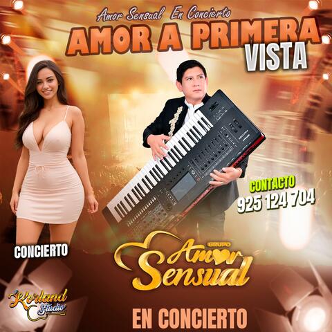 AMOR A PRIMERA VISTA (En Vivo)