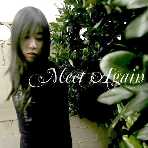 Meet Again