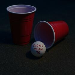 Didn’t Mean To