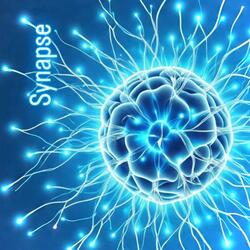 Synapse