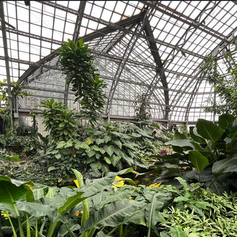 For the Bag (Prod fuckpinterest)