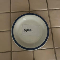 plate